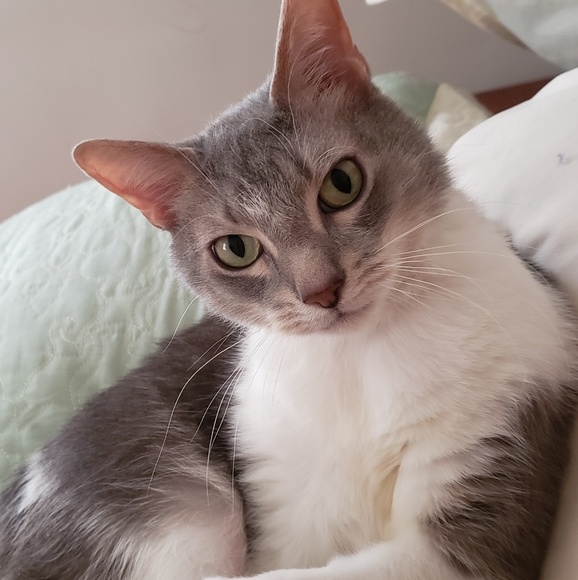 Meet your Posher, Vickie - Picture 2 of 2